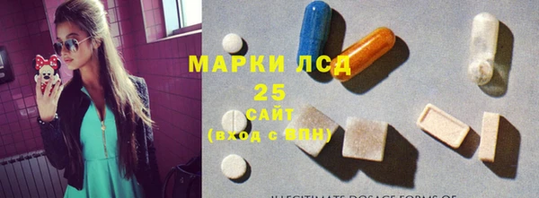 винт Нея