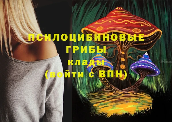 a pvp Новодвинск